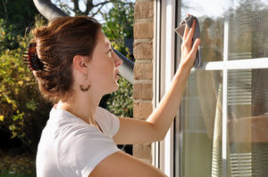 Fensterputzen
